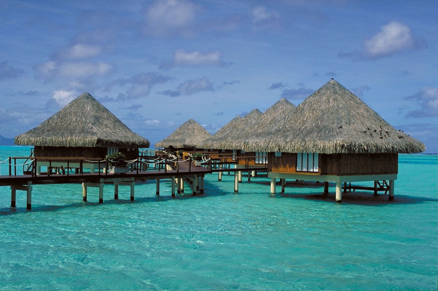 Bora Boras Cultural Significance: More Than Just a Beach