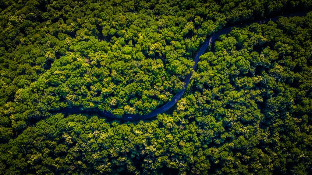Why choose Green travel solutions? Understand the real benefits for you and the planet earth.