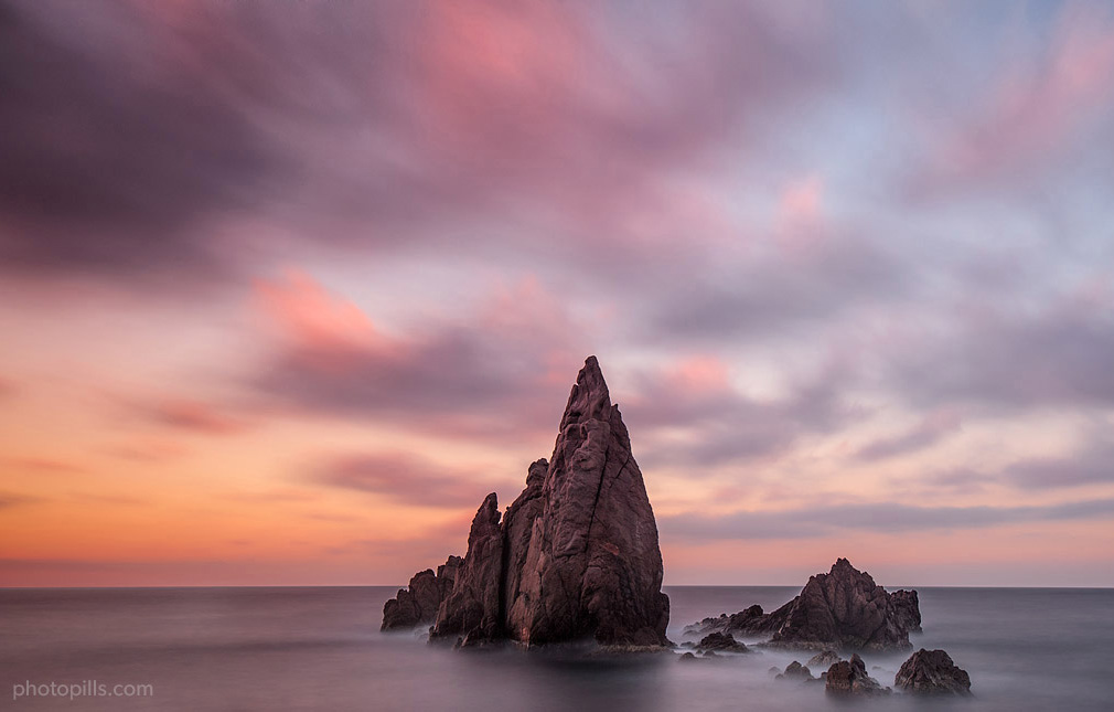 How clear are examples of photos taken on auto focus mode? These images will really surprise you!