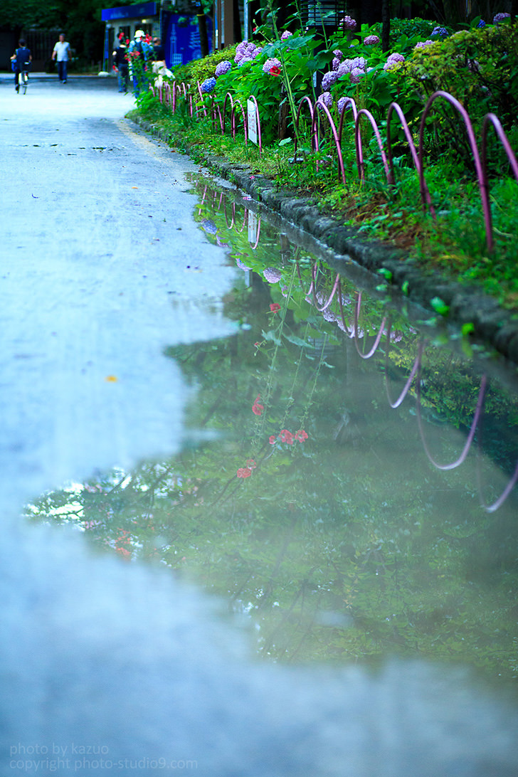 Cool street photography reflection puddle photos? (Learn these quick tricks)