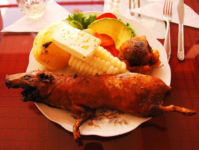 Is cuy frito worth trying on your trip? Find out more about this famous Andean delicacy!
