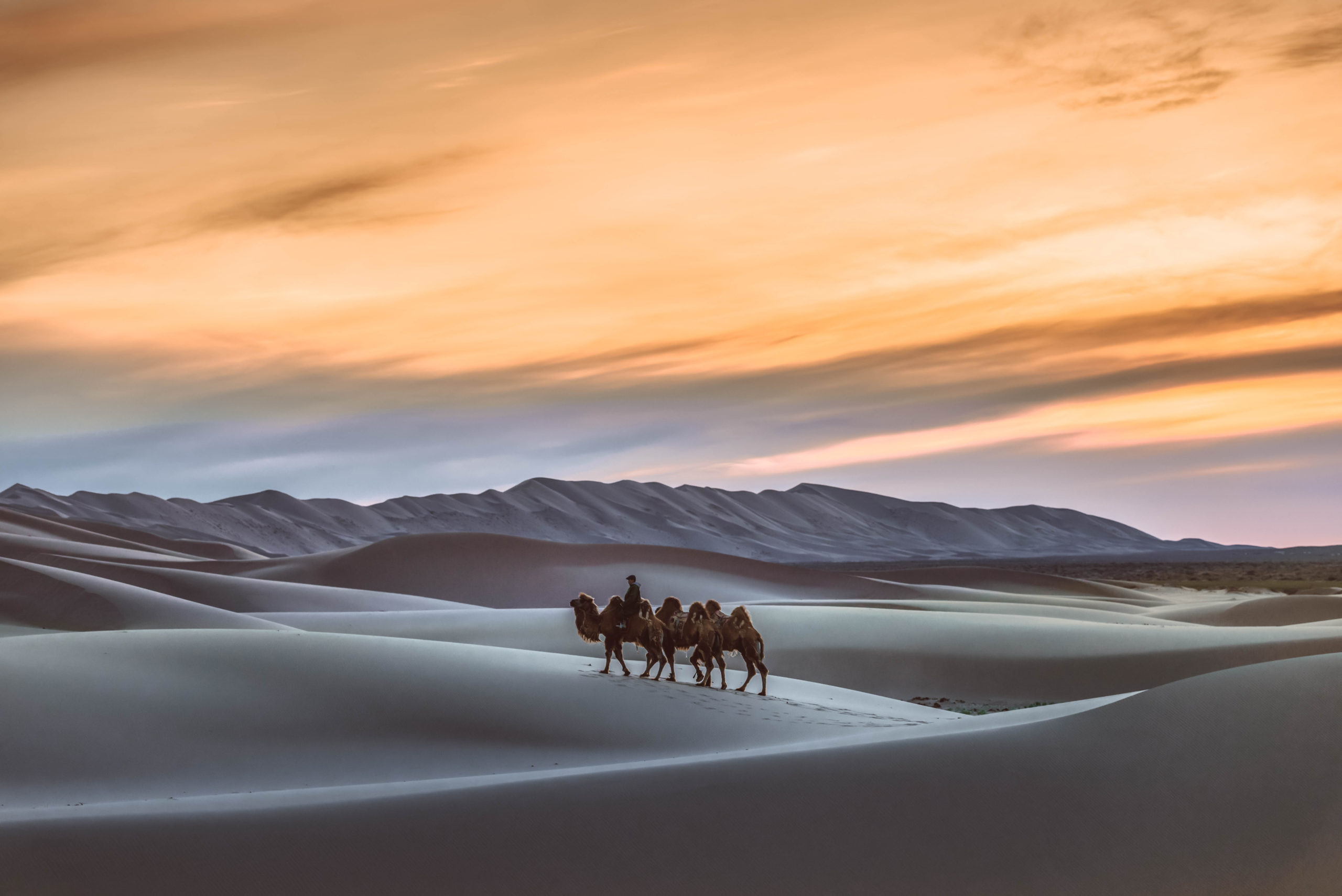 Planning your trip and wondering about Mongolia what to see? Here are the top attractions you absolutely cannot miss.