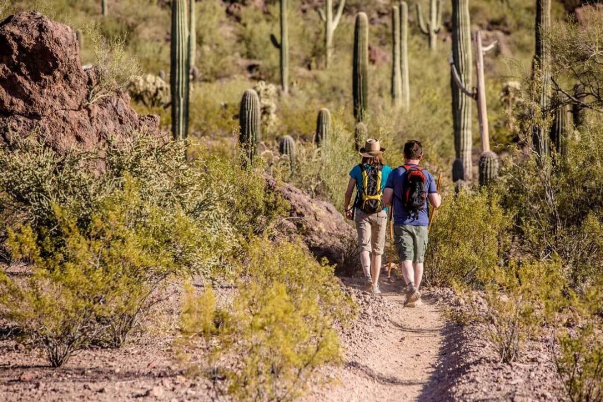 Top tips for your next Biodiversity-conscious travel adventure (Make your vacation truly eco-friendly and fun)