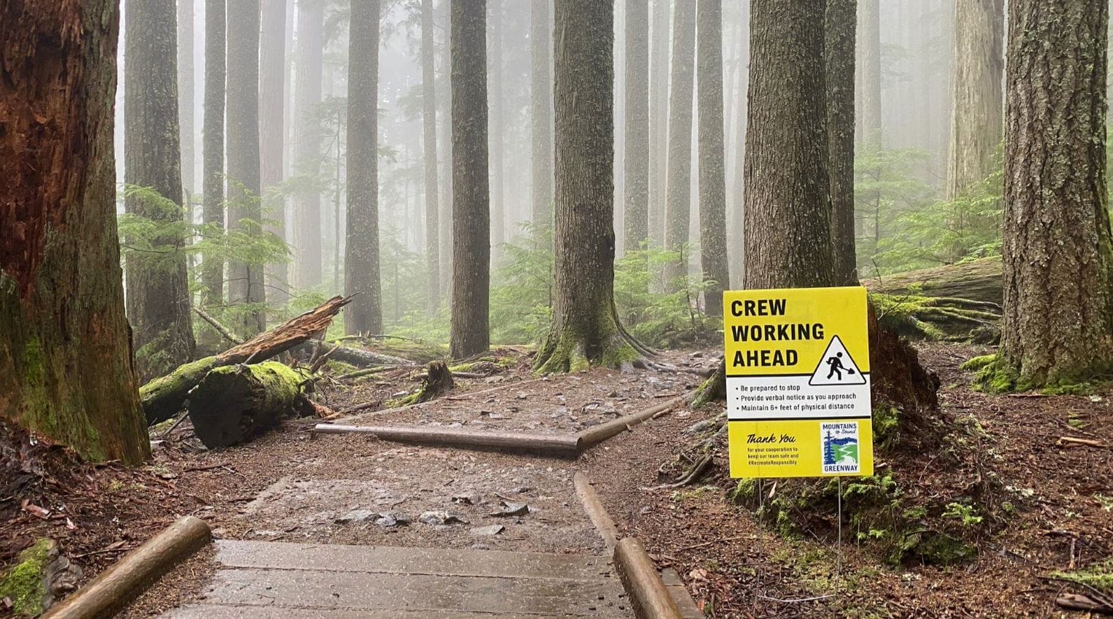 What are Sustainable nature trails all about? (Learn why they are key for green hiking and fun).