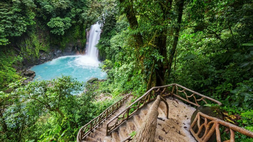 What are the best Eco-friendly holiday tours? (Discover amazing trips that help our planet)