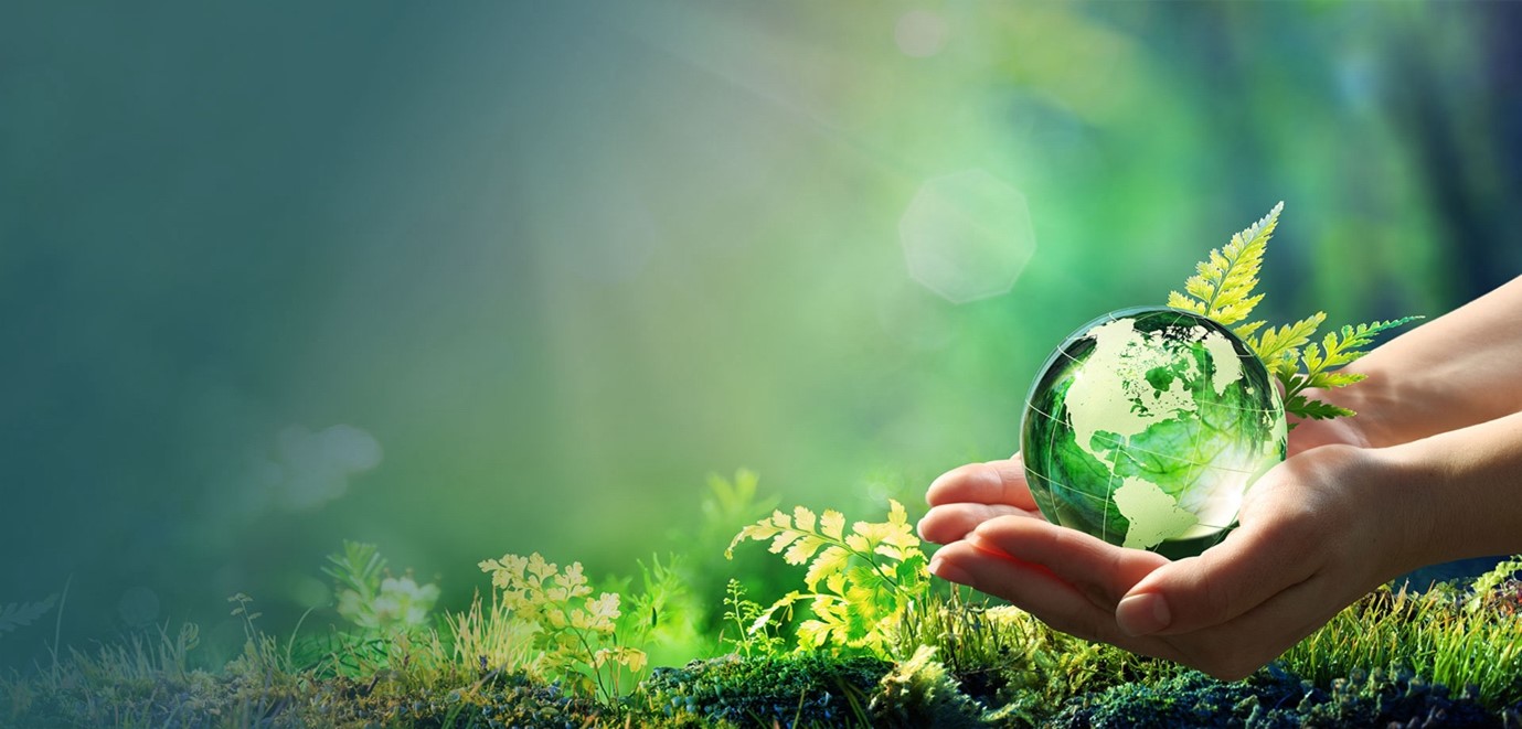 Why should you choose Carbon-neutral holidays? Explore the awesome benefits for both you and our planet Earth.