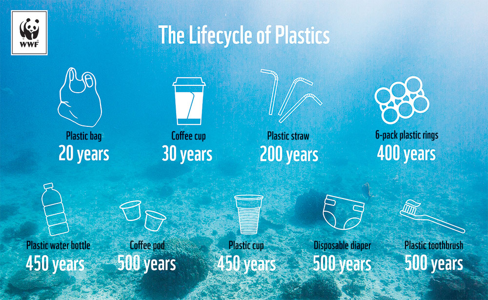 Planning Plastic-free holidays: Easy guide for beginners!