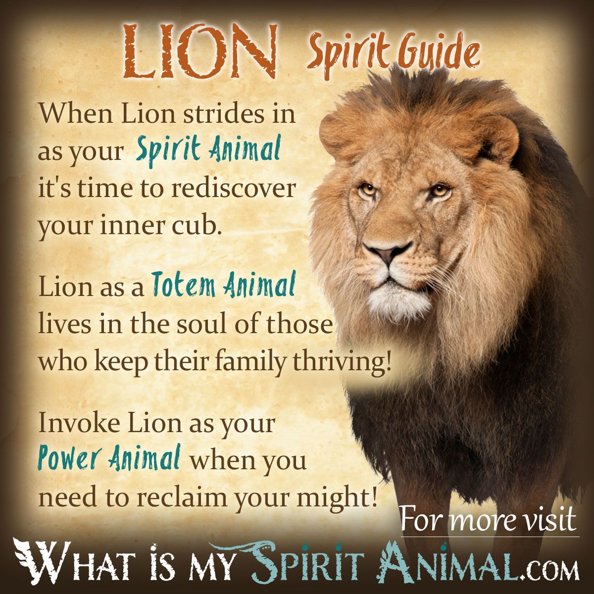The complete spiritual meaning of lion explained: Get simple insights into its divine and royal representation.