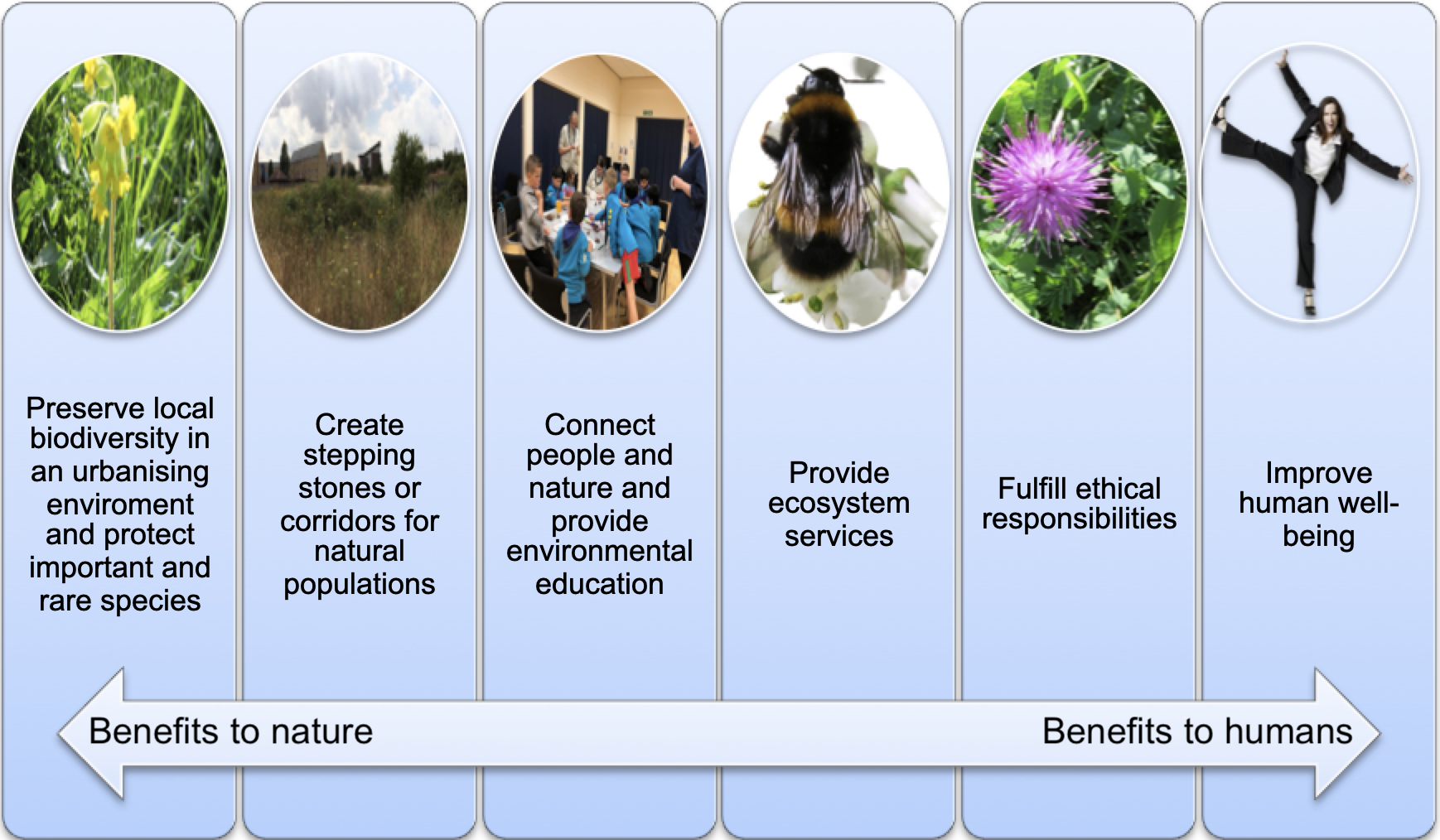 Why is Nature conservation in urban areas so vital? Discover the amazing benefits for city dwellers and wildlife.