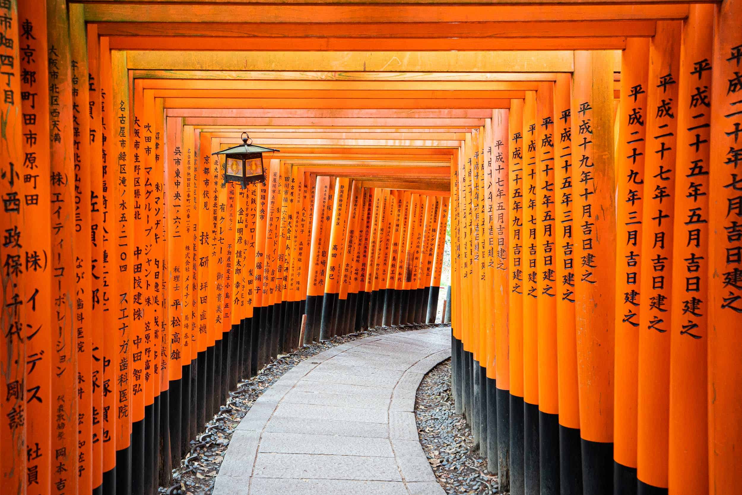 Can you enjoy the japanese beautiful express way on a budget? Get practical tips for an affordable yet memorable road trip.