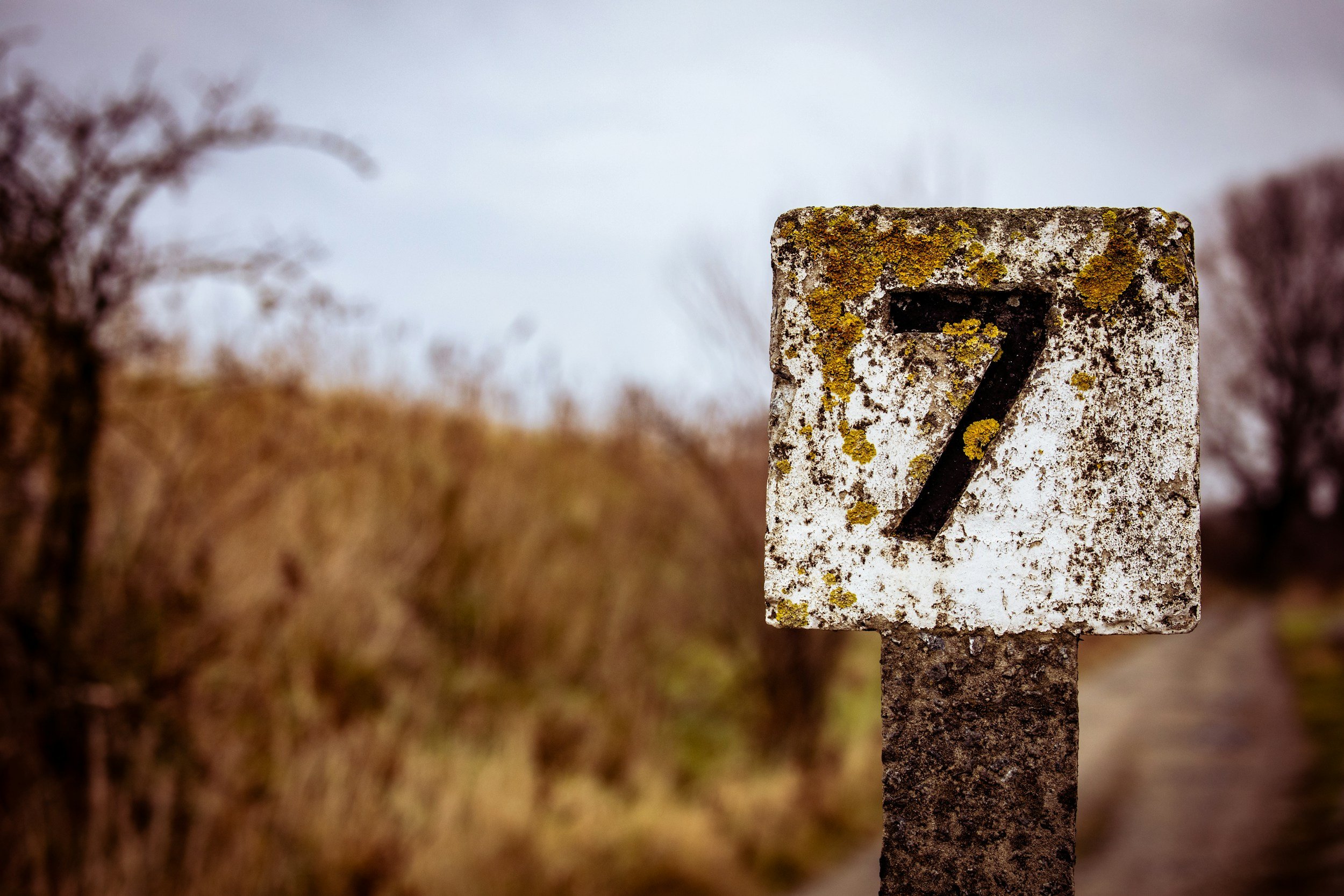 Looking for ways to Travel with a purpose? Here are 3 great ideas that will get you started!