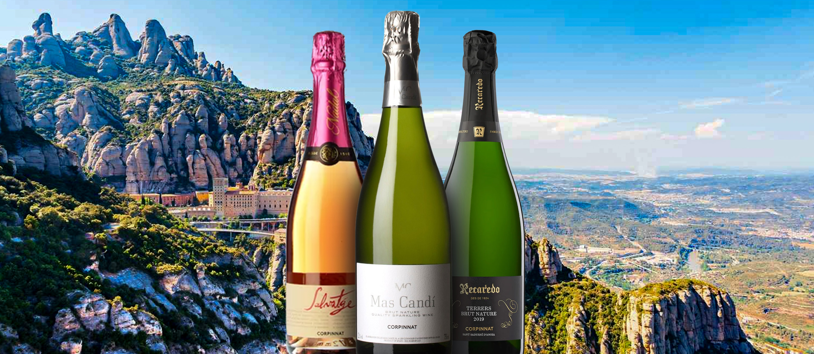 Which sparkling Spanish appellation is truly the best? Discover our favorite picks for any special occasion.