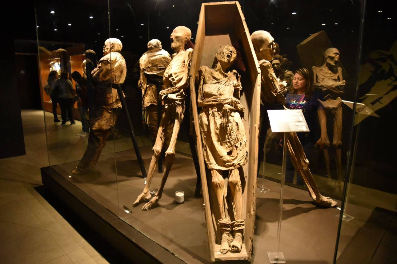 What To See At Museo Las Momias de Guanajuato (A Quick Guide To The Exhibits)