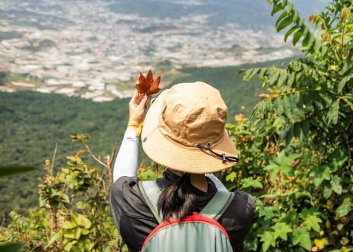 What is Low-impact urban tourism? Discover simple ways for greener city adventures right now.