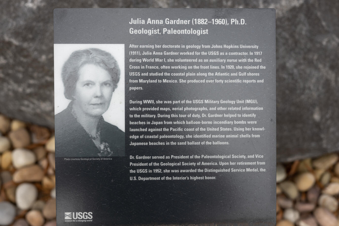 Who is Julia Sand? (Get her basic info fast)