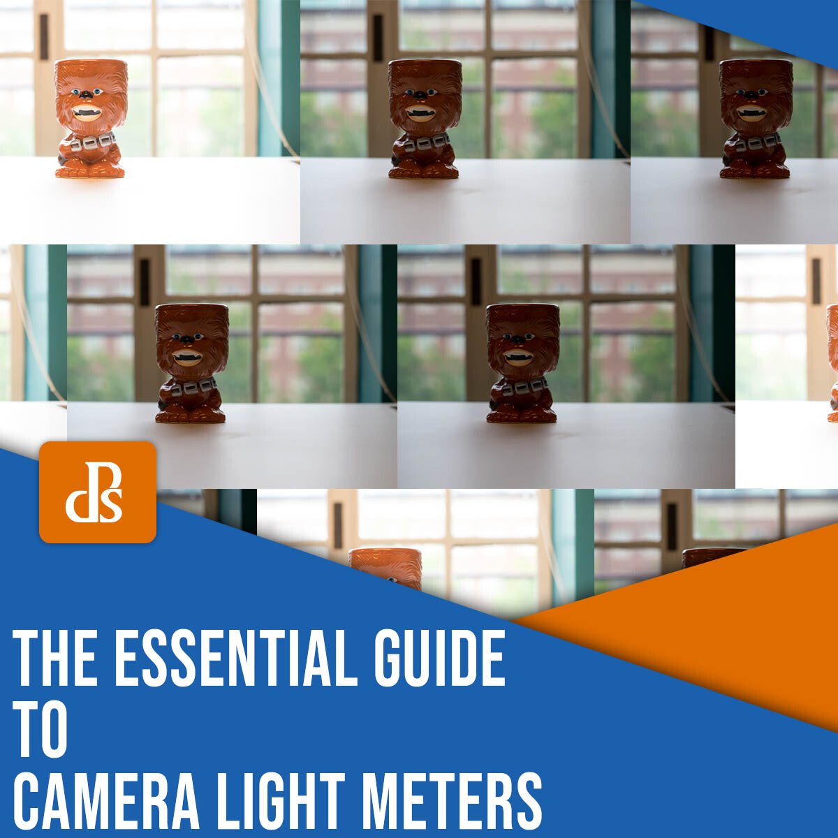 Your easy guide on how to adjust lightmeter on SLR cameras (Get better pictures in just minutes)