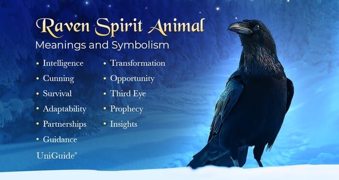 How raven represents in cultures? Explore the varied symbolism a raven represents across different parts of the world.