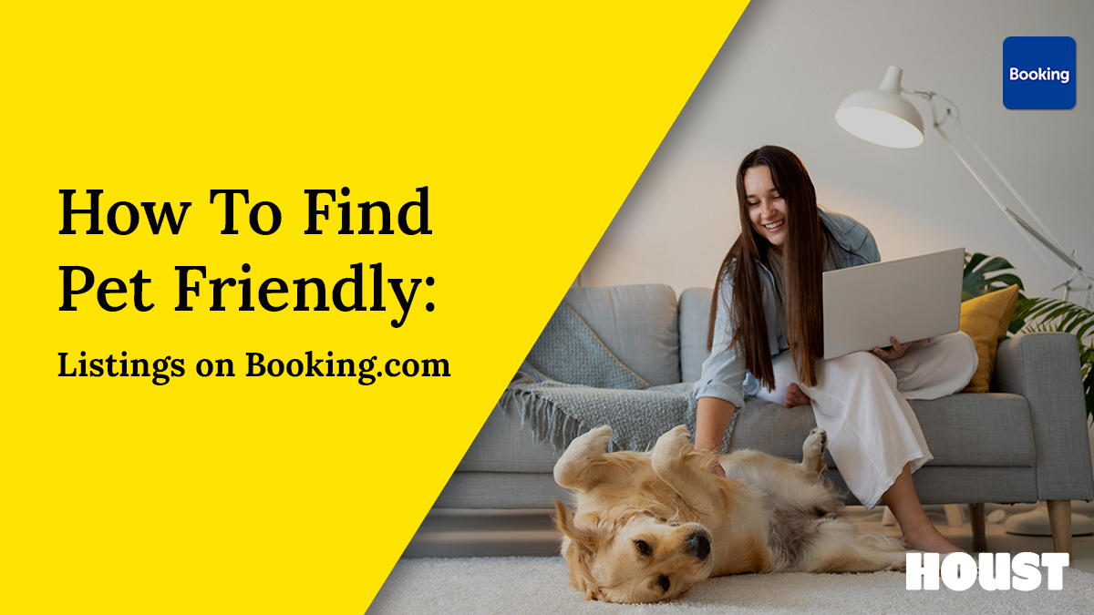 How to use hotel search engines to book pet-friendly hotels (Make finding pet-friendly places easy)