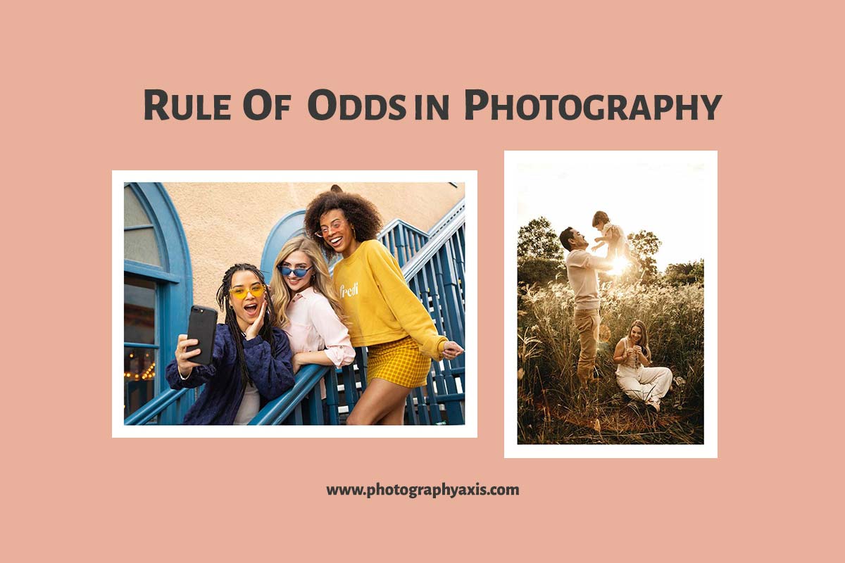 Searching for the rule of odds grid photography definition for kids? Heres a kid-friendly explanation.