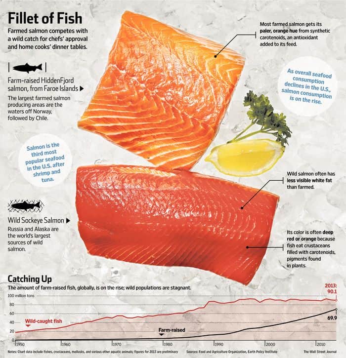 Is Farm Raised Salmon Good For You? Find Out The Truth About Its Health Benefits Today
