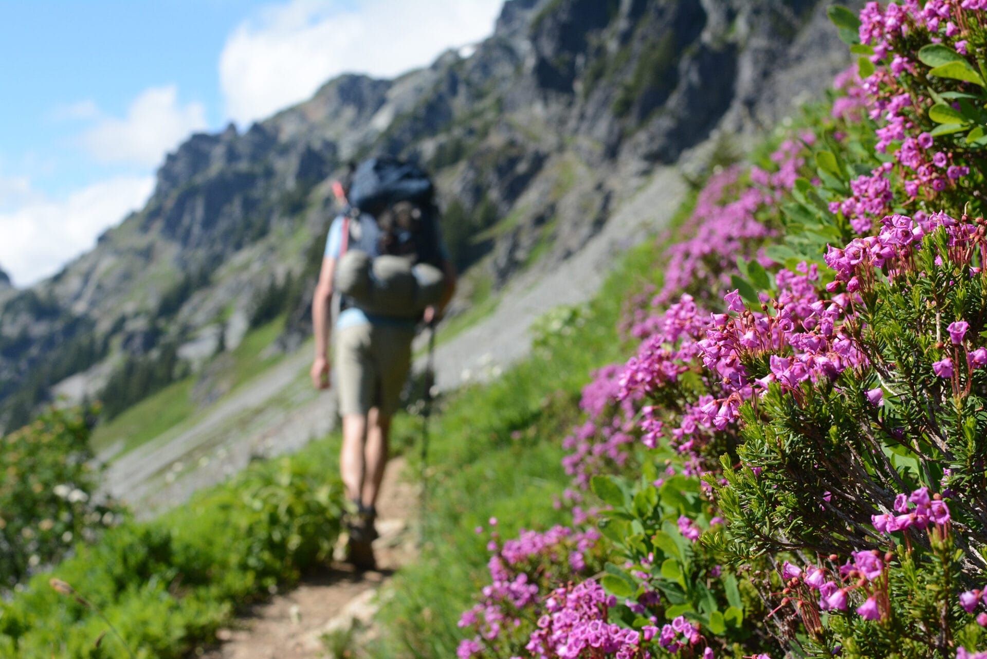 What are Sustainable nature trails all about? (Learn why they are key for green hiking and fun).