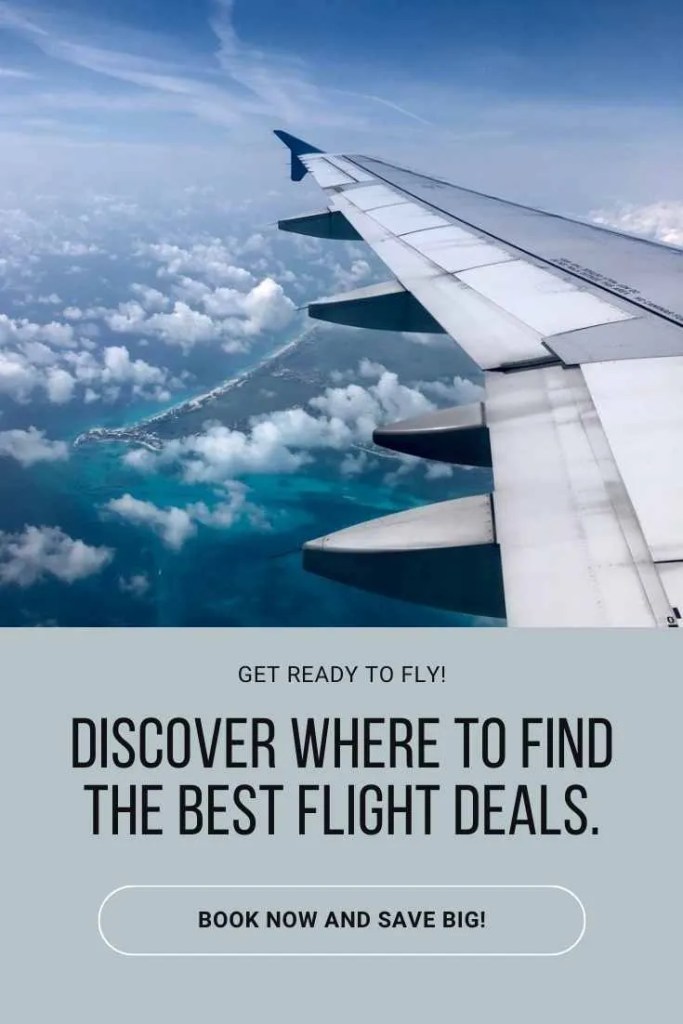 How to find budget-friendly flight options with search engines: Learn to save big on your next flight.