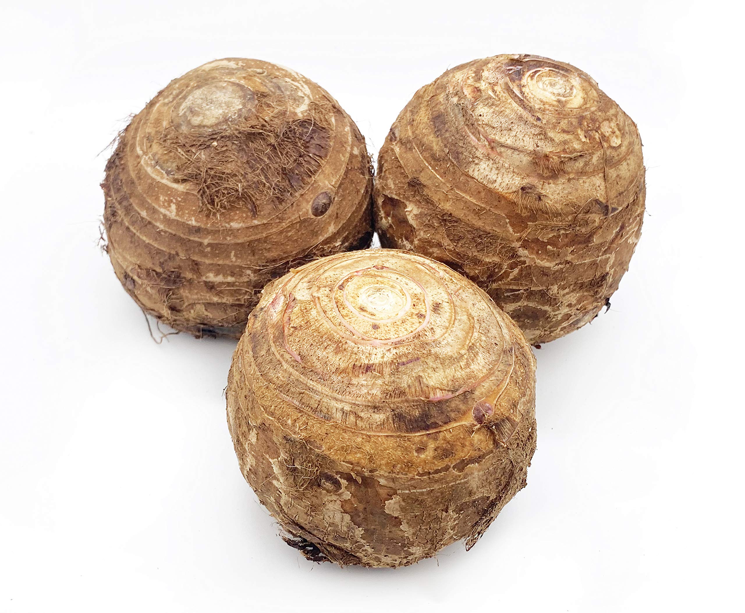 Where to Buy Asian Tuber? Find the Best Quality