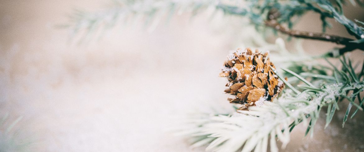 How to plan Eco-friendly winter travel? Easy tips for a sustainable snowy holiday.