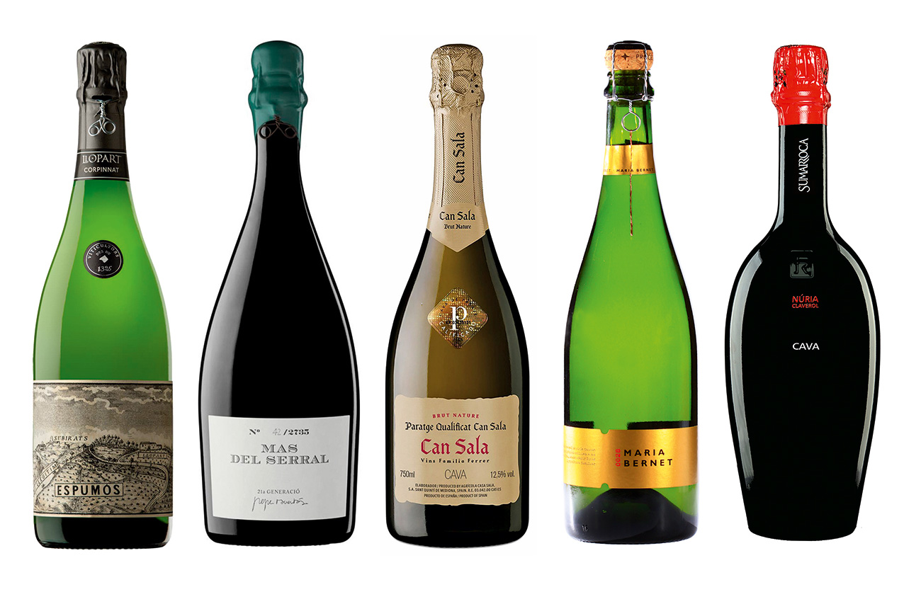 Which sparkling Spanish appellation is truly the best? Discover our favorite picks for any special occasion.