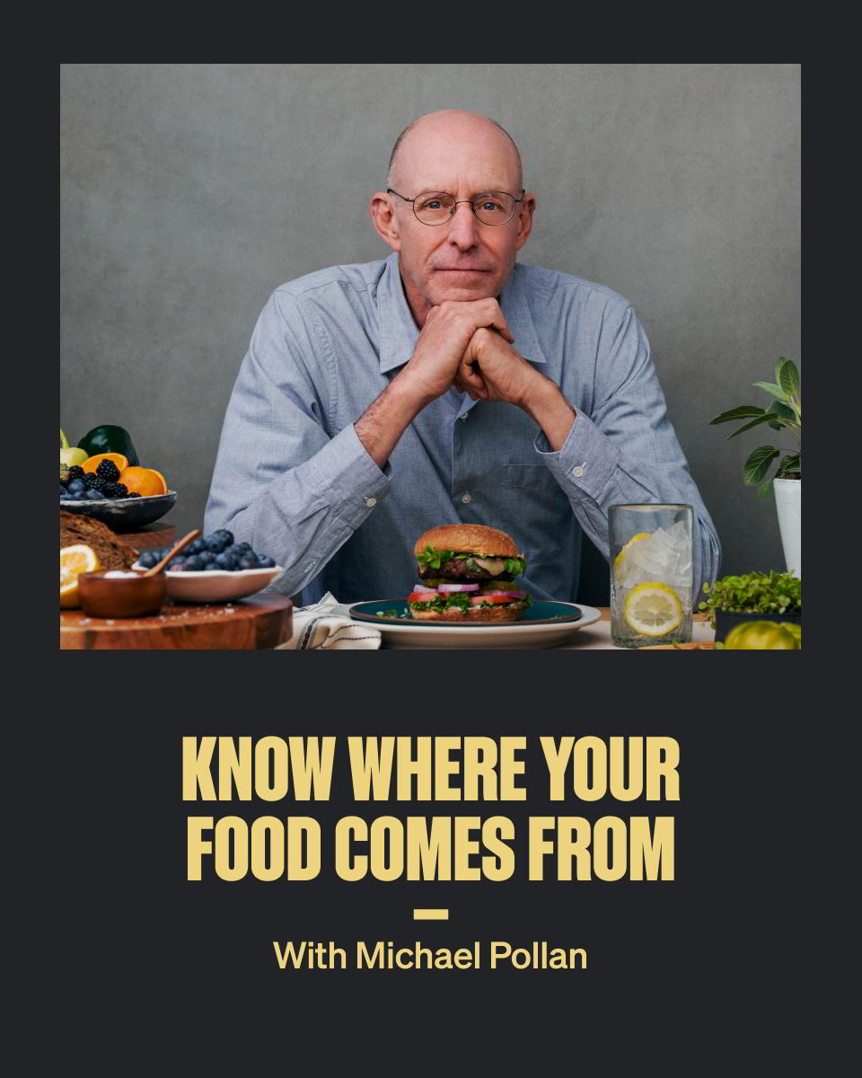 Explore these Must-attend global festivals for foodies this year: Your ultimate guide to best eats worldwide!