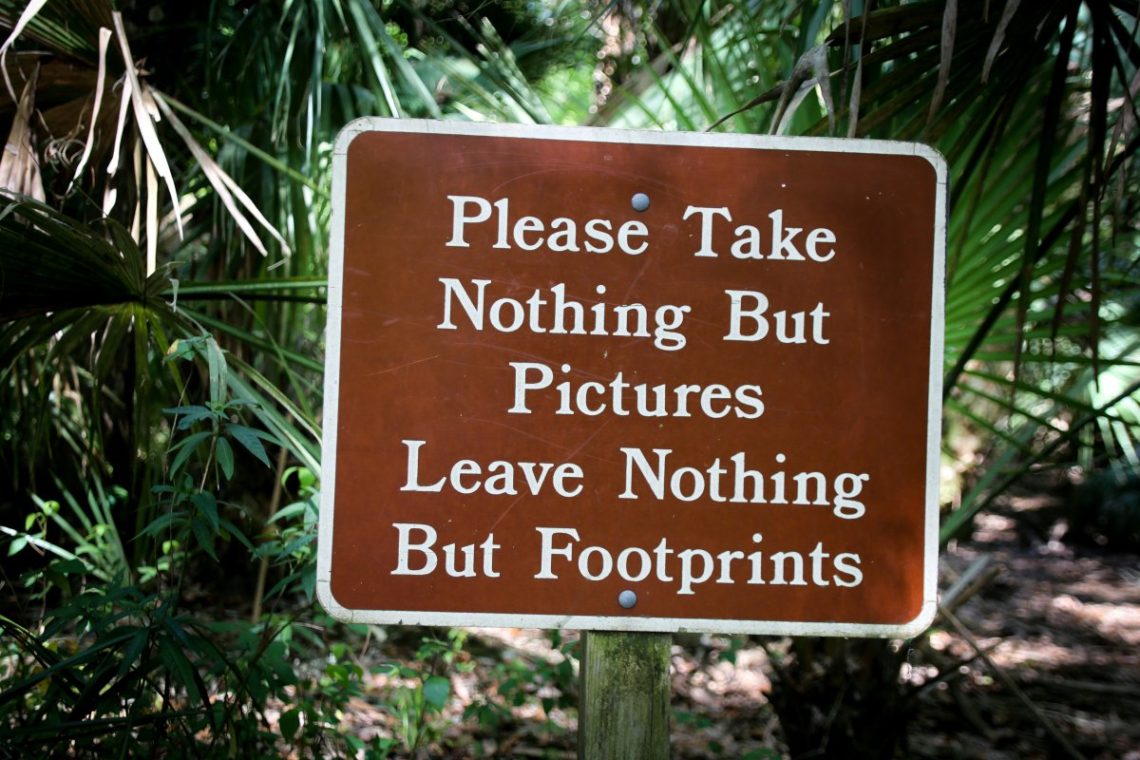 Why choose Green travel solutions? Understand the real benefits for you and the planet earth.