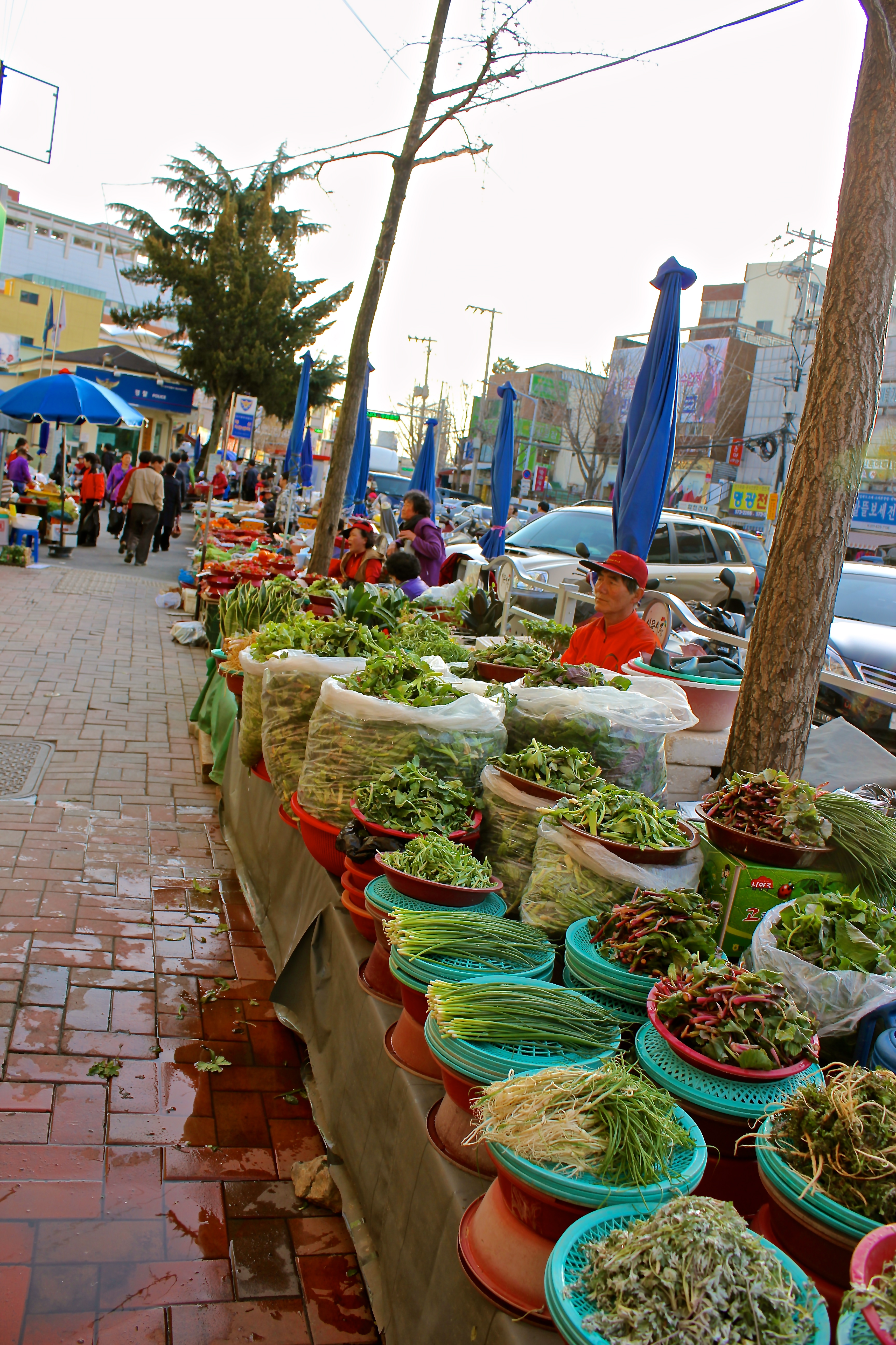 Where to find the best vegetable korea? Learn about top markets and buying tips now!