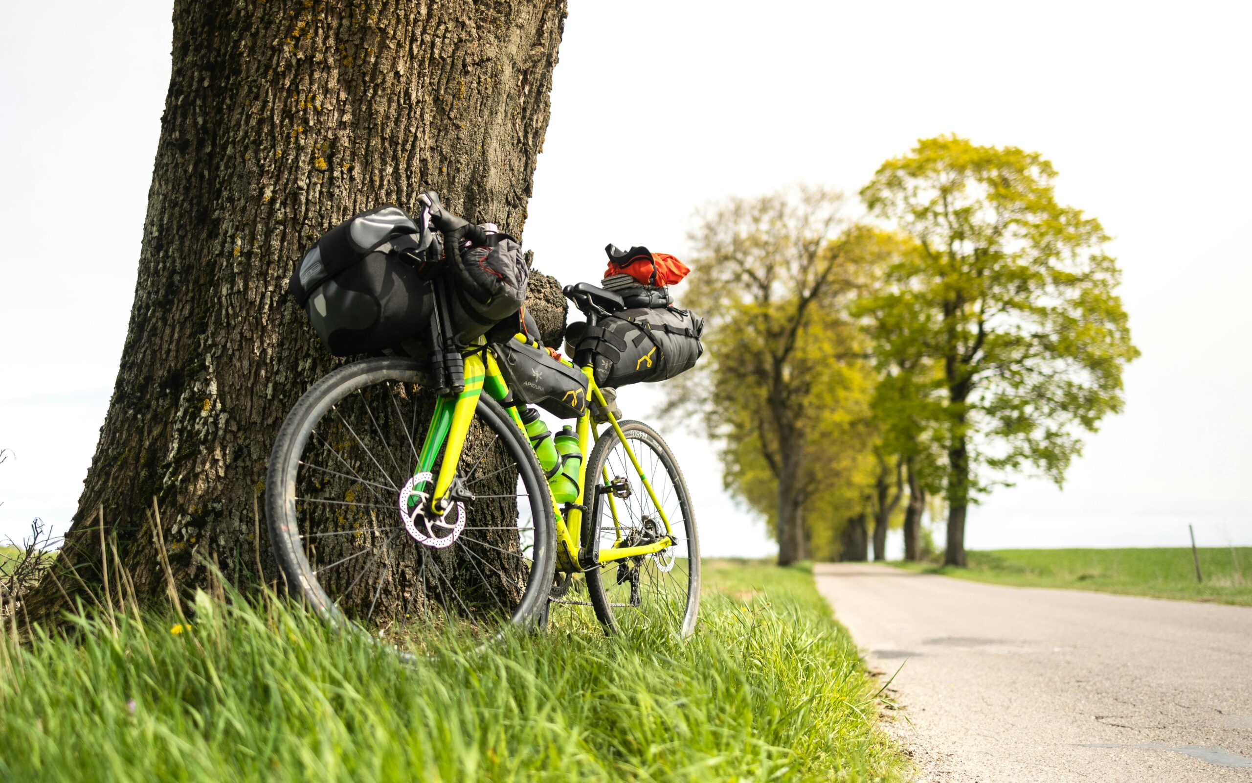 How can you plan eco-friendly travel to remote locations? Discover simple tips for your green adventure.