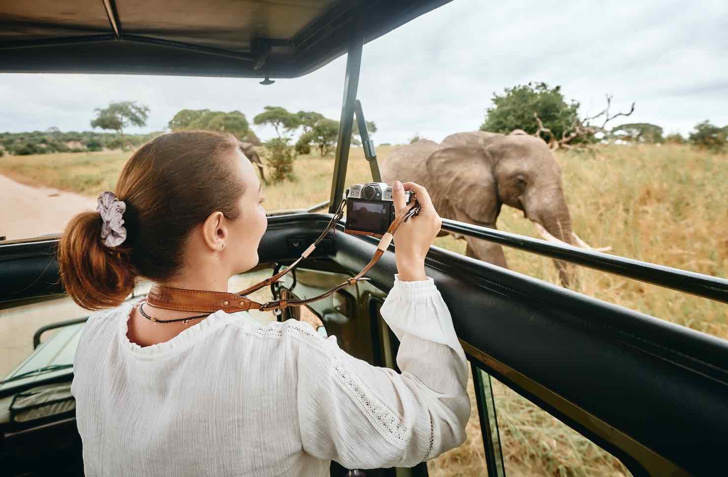 Eco-conscious safari travel: How to travel responsibly? (Simple tips to make your safari more eco-friendly)