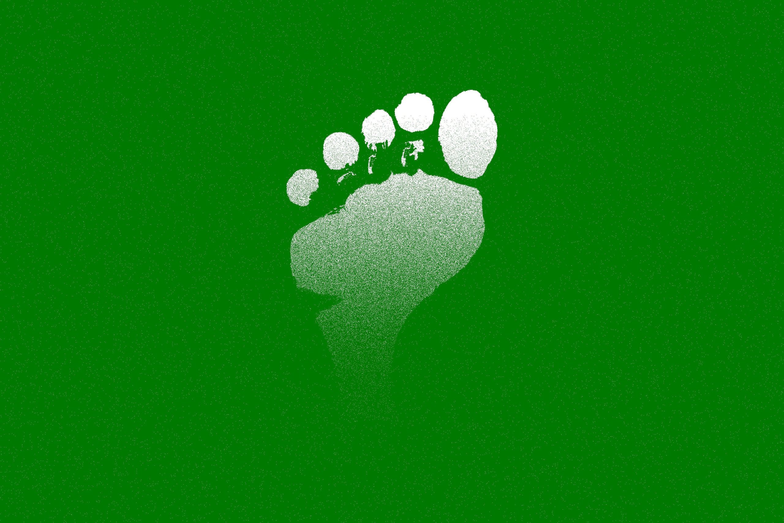 Simple Carbon reduction travel strategies for your everyday travel. Practical ideas for significantly lowering your travel footprint right now.
