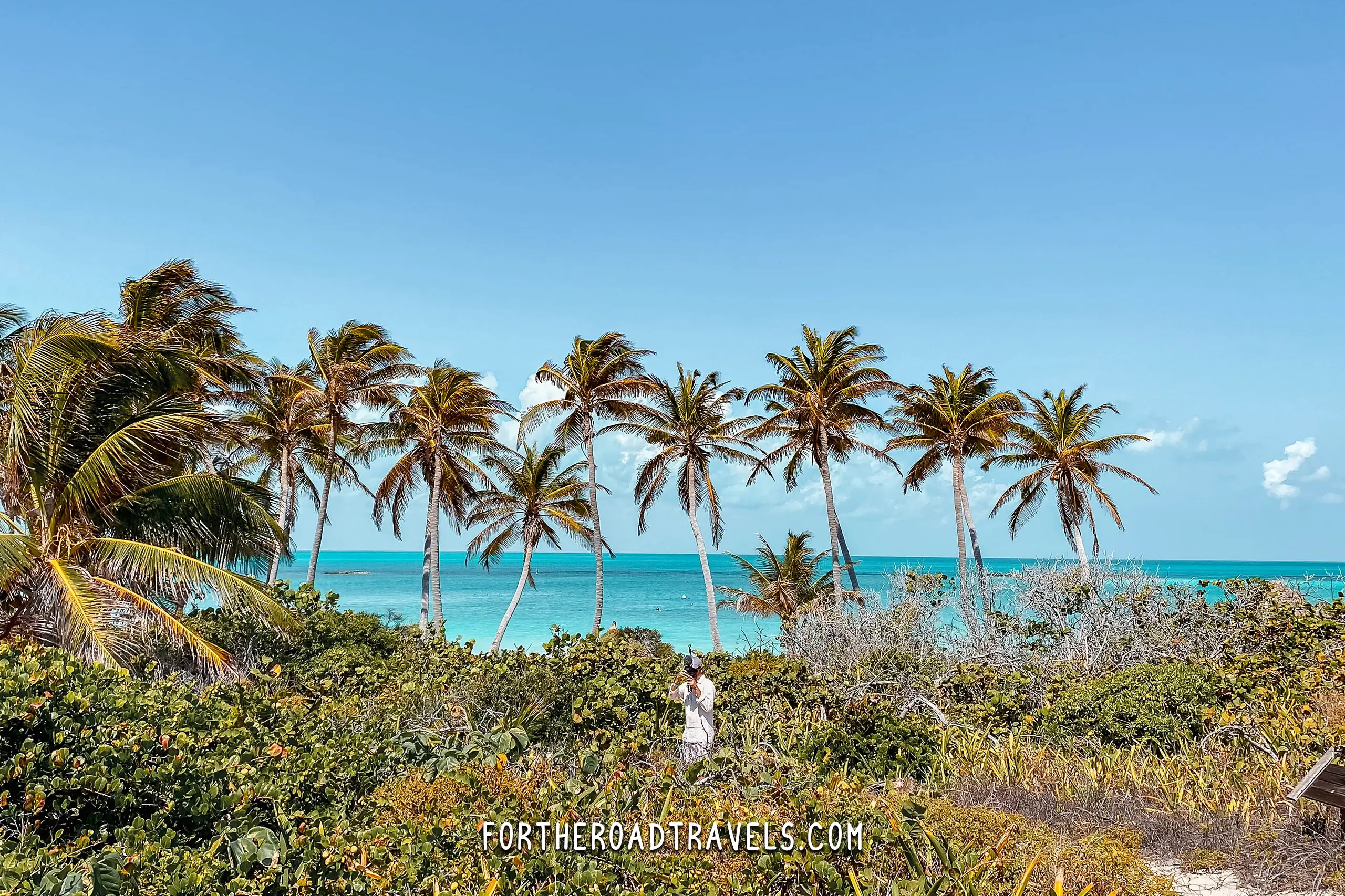 Is Taking a Day Tour to Isla Contoy National Park Really Worth It? See Exactly Why Visitors Absolutely Love This Paradise!