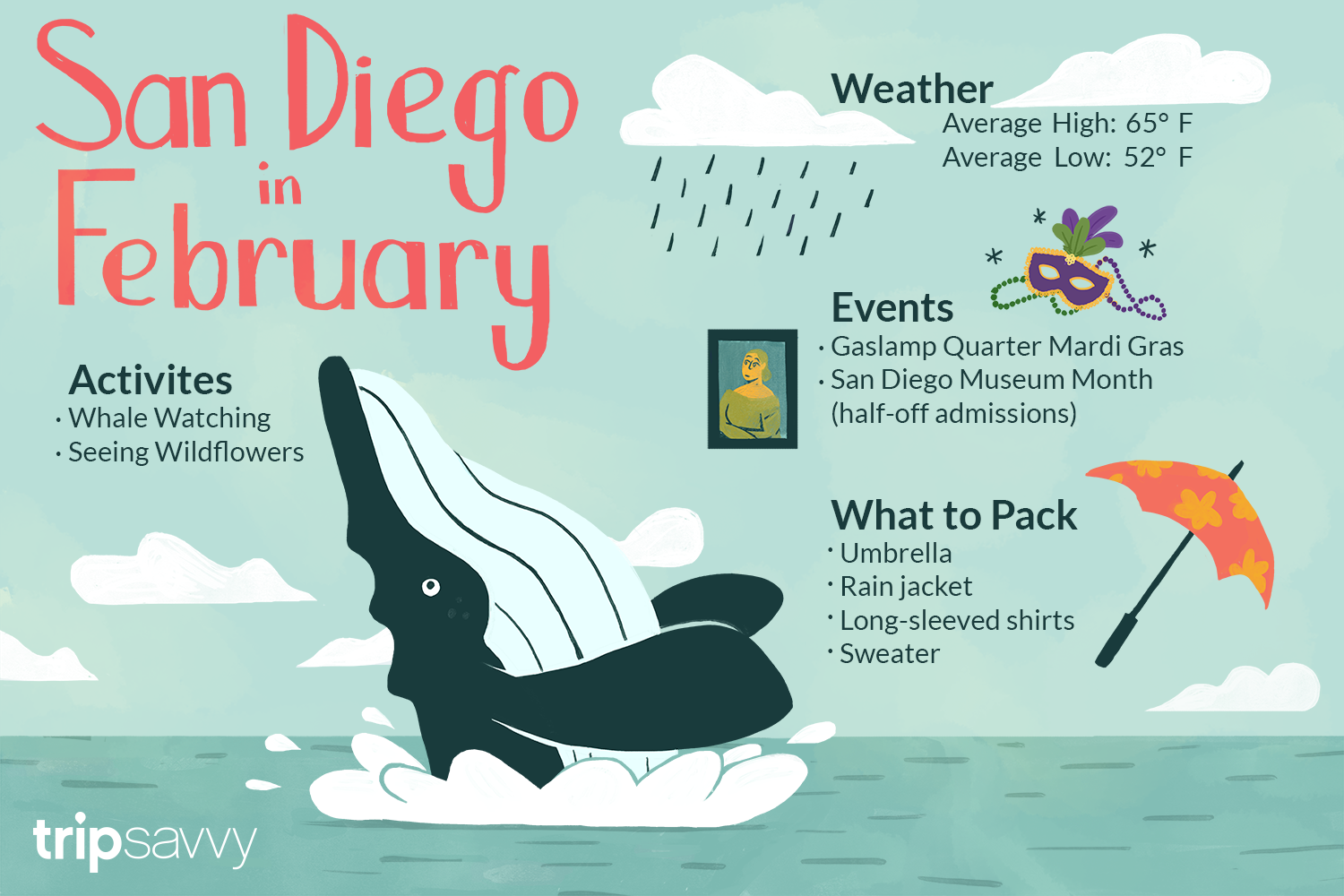 San Diego February Visit Guide: What Is the Weather Like and What Should You Absolutely See?