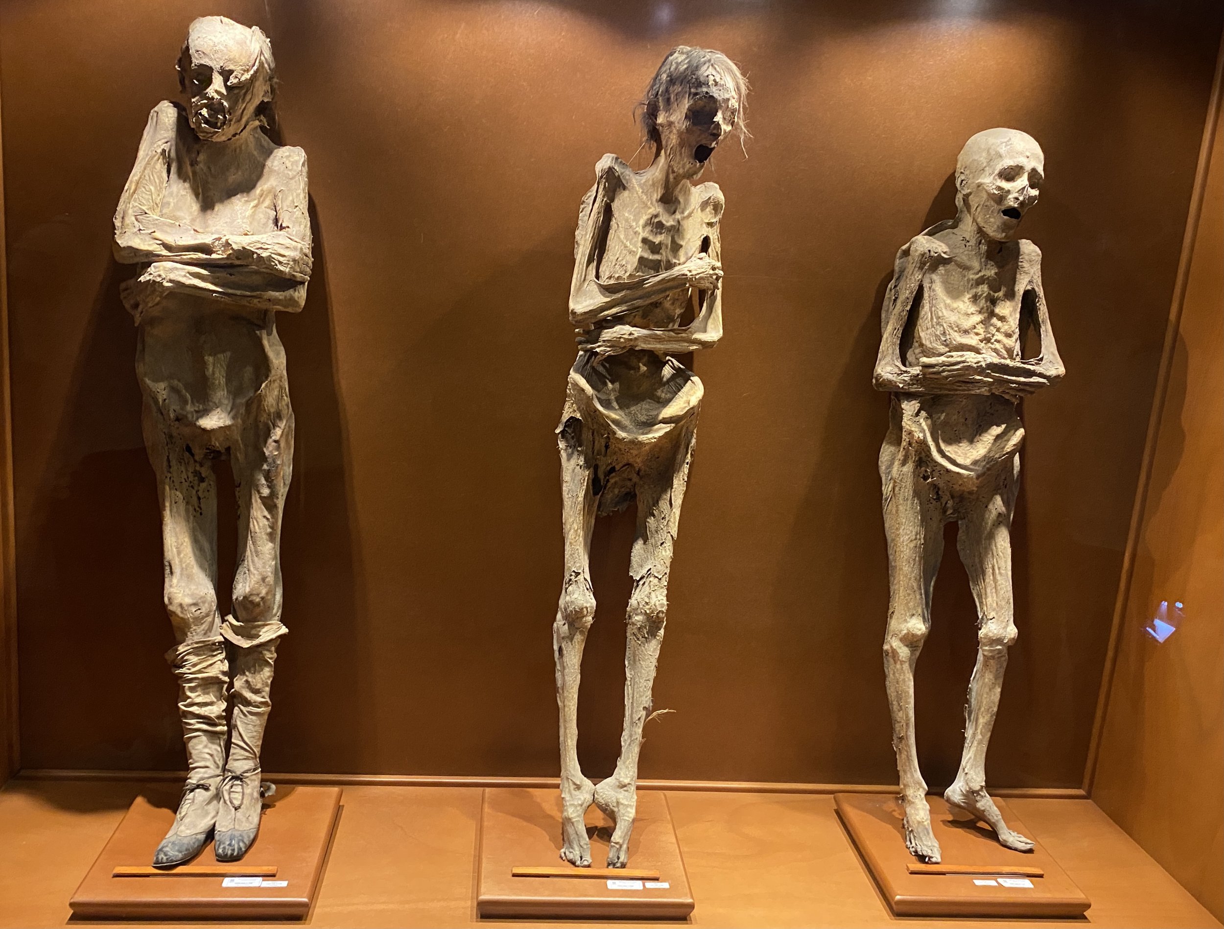 What To See At Museo Las Momias de Guanajuato (A Quick Guide To The Exhibits)
