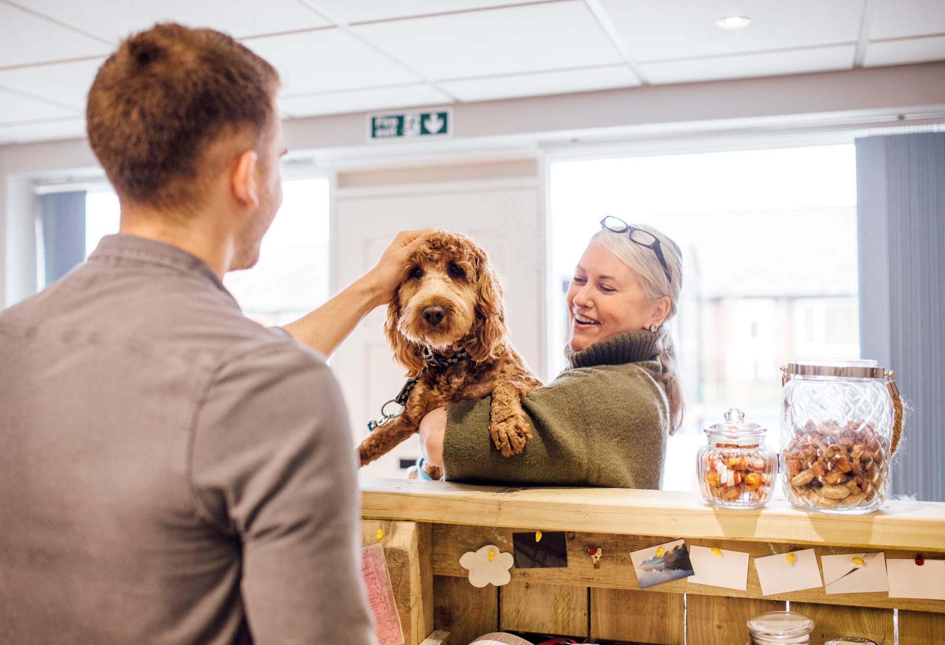 How to use hotel search engines to book pet-friendly hotels (Make finding pet-friendly places easy)