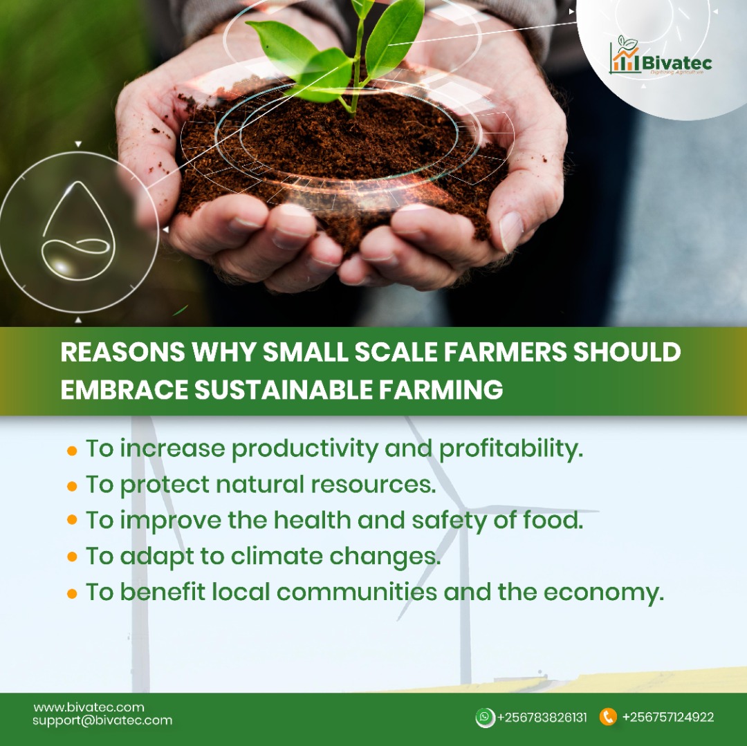 Supporting Sustainable Agriculture: Simple steps for farmers.