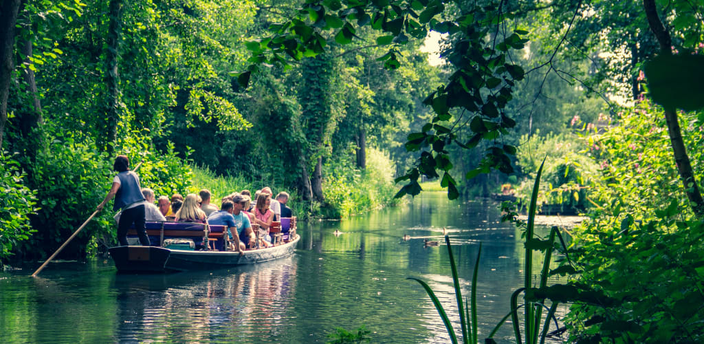 How can you find the best Green tour operators? Easy tips for choosing your perfect eco-adventure planner.