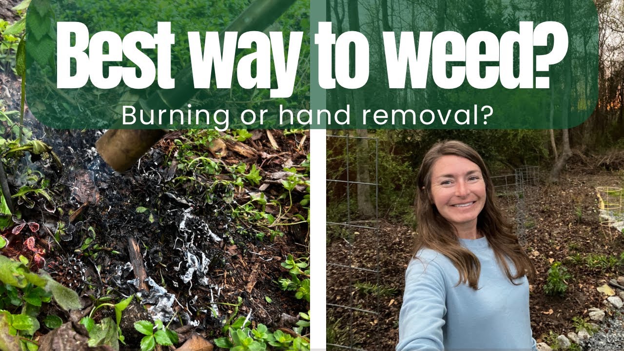 The Brave Farmer Weed Methods: Which Are Best? Top Picks for Easy and Fast Weed Control.