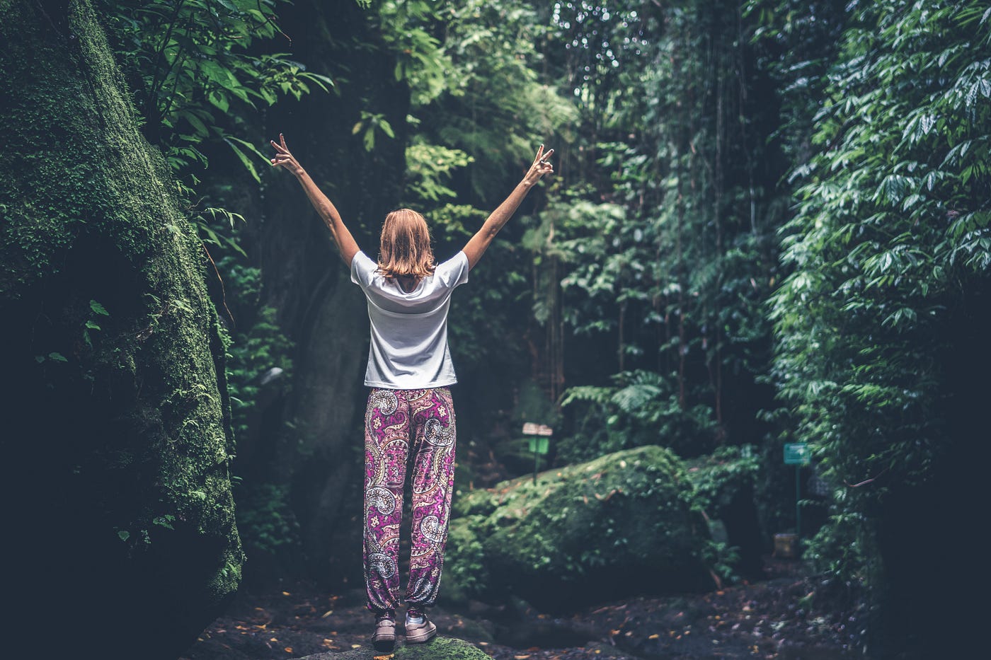 Ready for your next trip? Try Eco-conscious adventure holidays and get inspired by these amazing getaway ideas.