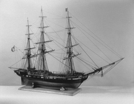How did the survivors of the whaleship essex stay alive at sea? (Their desperate methods and grim journey revealed!)