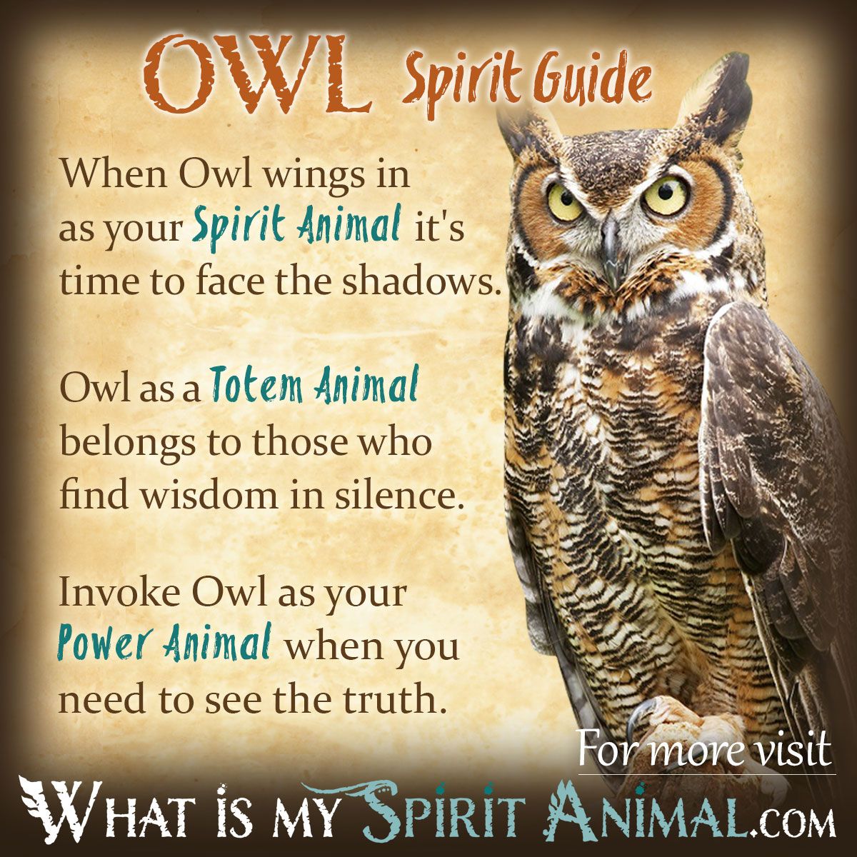 Owl meanings worldwide: how different cultures see these spiritual birds