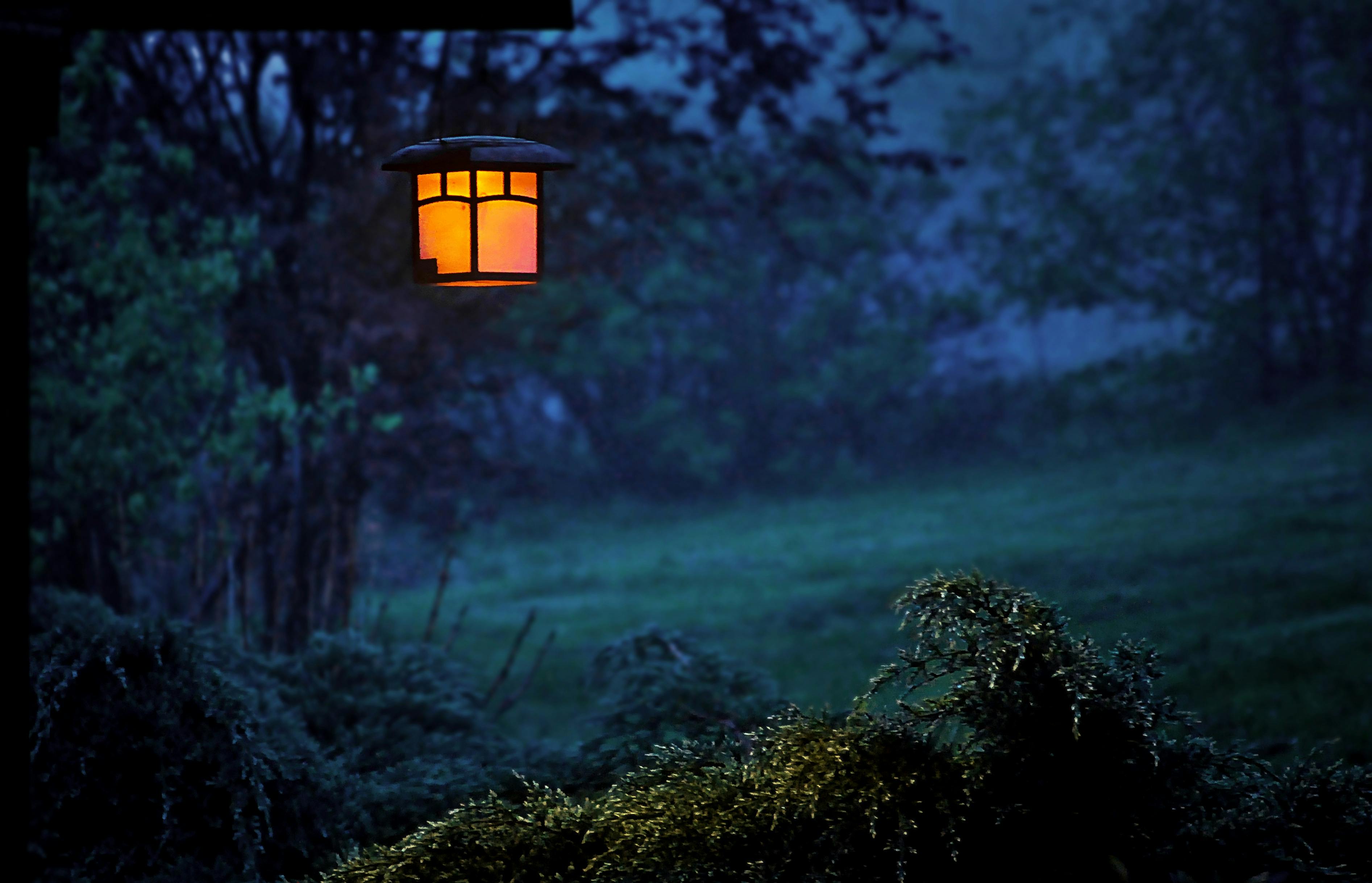 Where can I find free night time images? Check out these great websites for downloads!