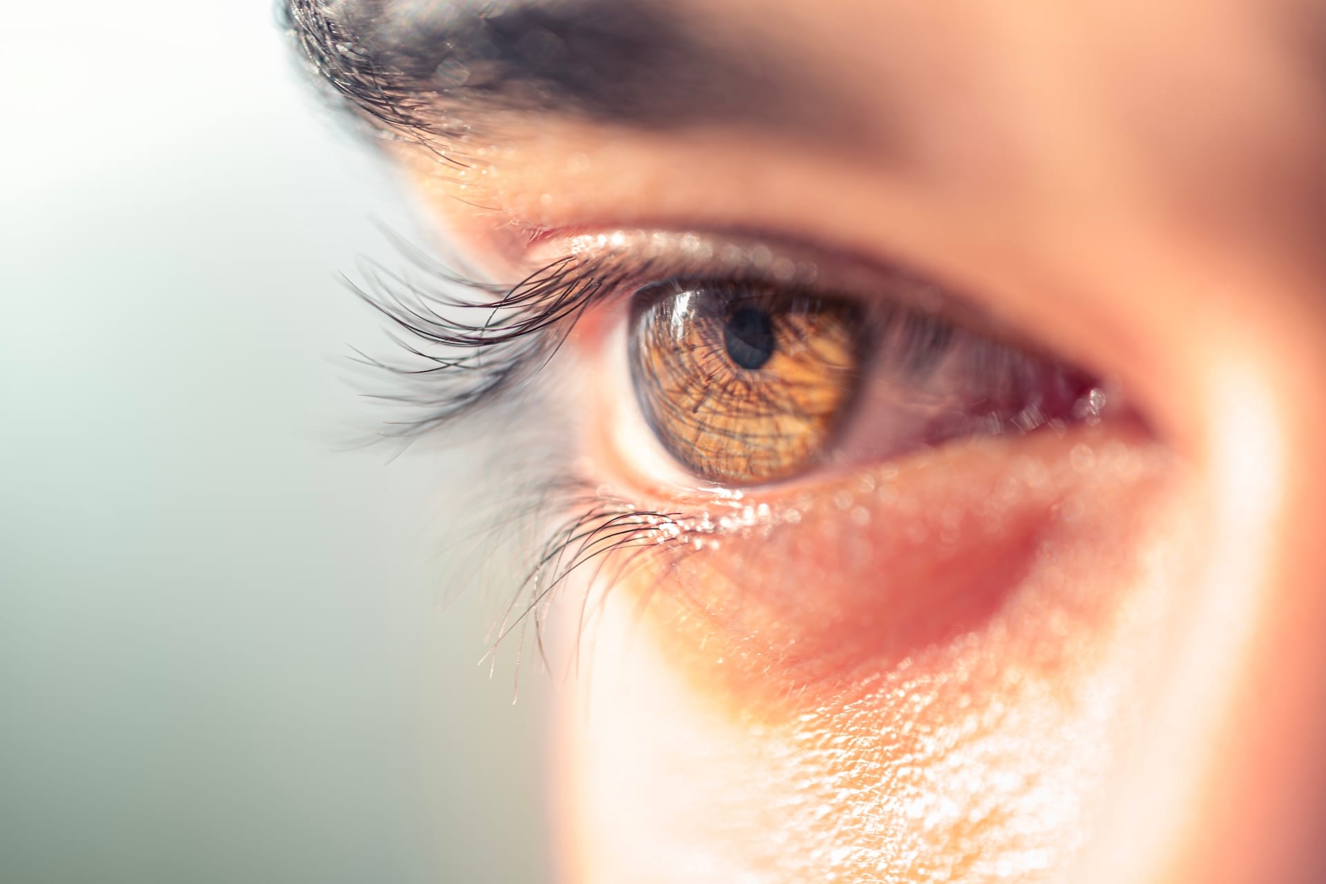 Close Up Shot Example:ELS Photography Examples You Should Know