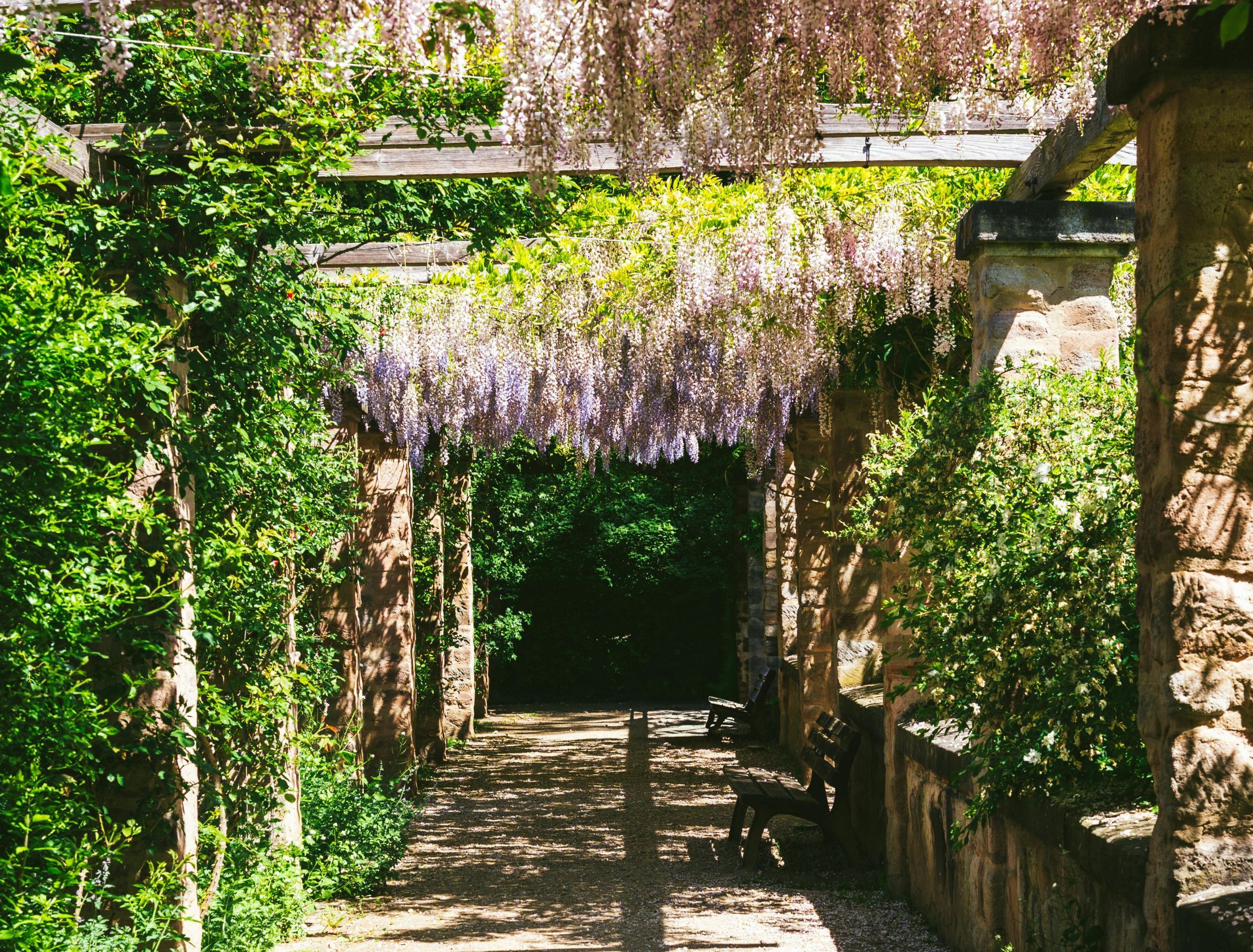Want your garden to feature flowers with depth? Learn how these special blooms can elevate its aesthetic appeal!