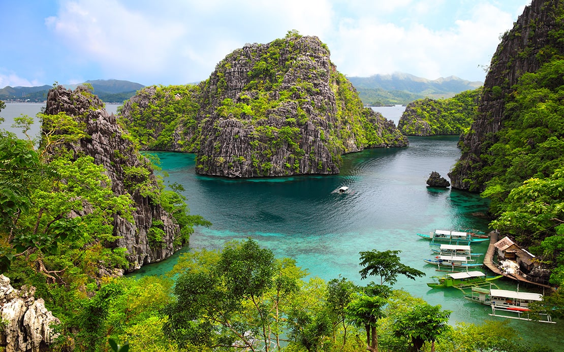 Does Volunteer eco-tourism Actually Make a Difference? Learn About the Real Impact You Can Have.