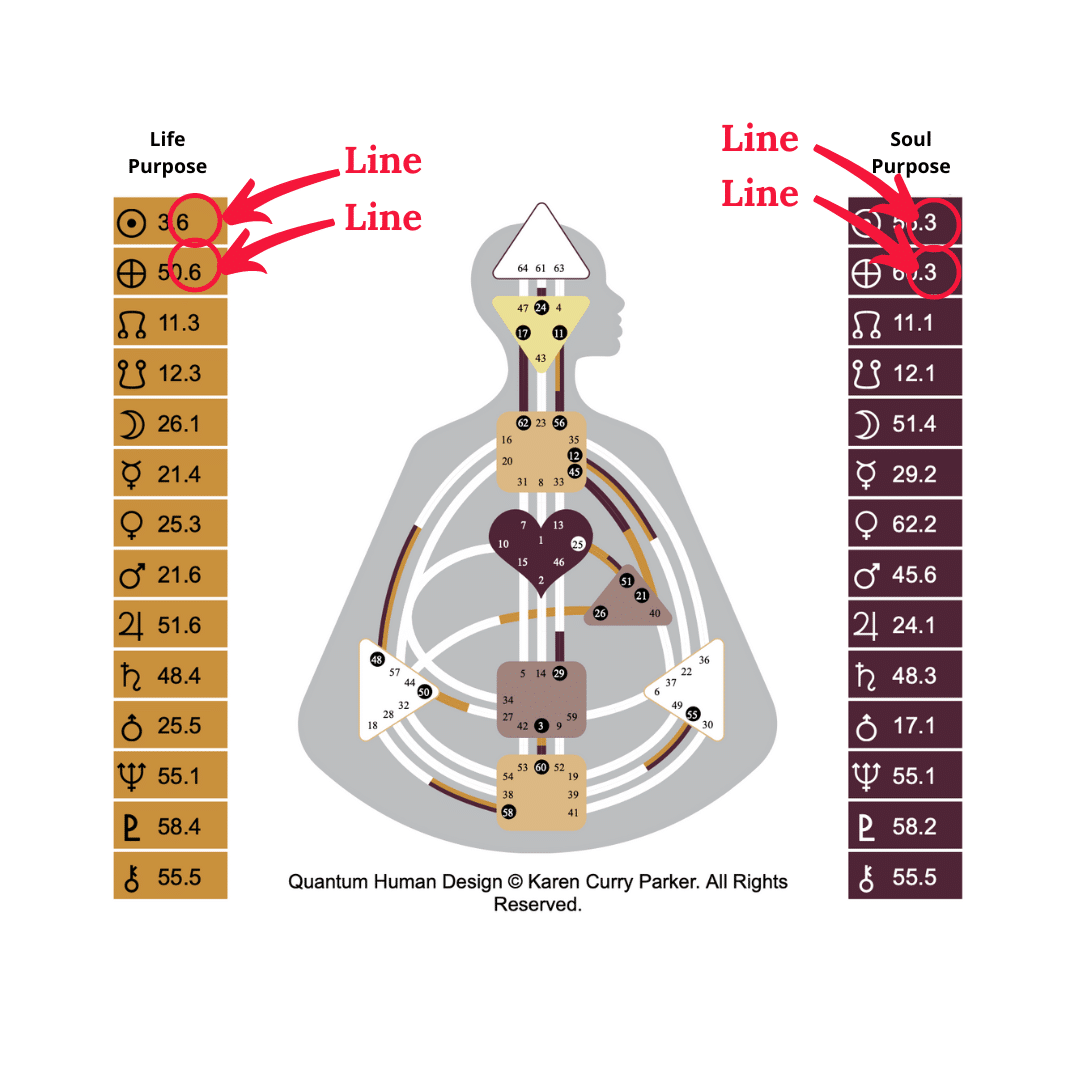 Understanding your Human Design Generator type (Unlock your unique power and find true life purpose).